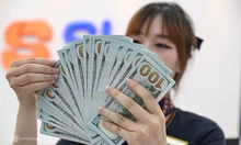 Tỷ giá USD ngân hàng tăng trở lại đầu tuần, mức bán gần bằng thị trường tự do